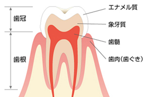 インプラント治療とは